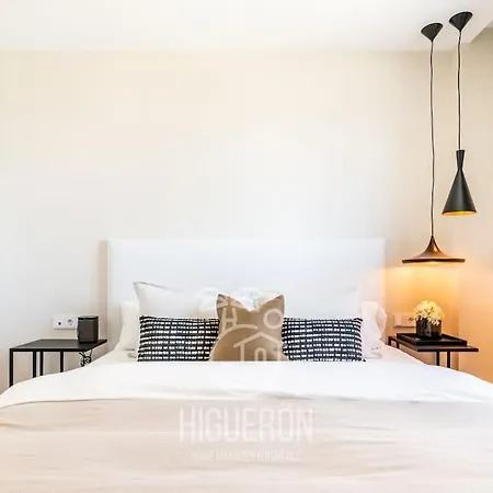 Higueronrentals Mikero * Malaga