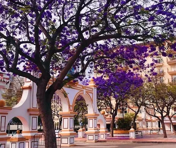 Higueronrentals Mikero Málaga